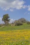 Le campagne intoerno a Crobara in Umbria, fotografate in primavera