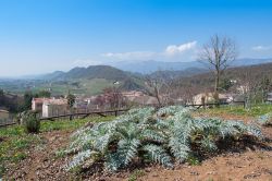 Le campagne intorno Refrontolo di Treviso in primavera