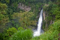 Le cascate di Xico nei pressi di Veracruz, Messico.
