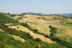 Le dolci colline dell'Appennino Romagnolo vicino a Modigliana