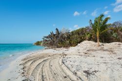 Le sabbie bianche delle isoie di Berry Islabds alle Bahamas