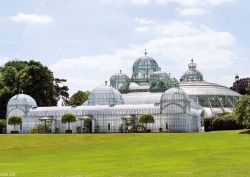 Le Serre Reali di Laeken a Bruxelles in Belgio - © www.karinborghouts.be