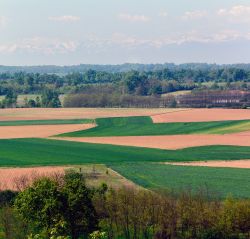 Le terre di Pianalto tra Santena e Poirino in provincia di Torino