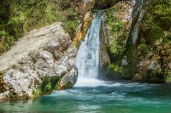 La natura rigogliosa del Lago di San Benedetto a Subiaco, provincia di Viterbo, Lazio.
