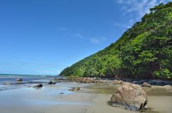 Paesaggio di Thornton Beach a Cape Tribulation, Daintree, Australia. Un tratto di natura incontaminata con la foresta pluviale che si tuffa nelle acque turchesi dell'oceano.




