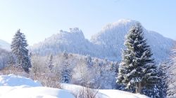 Paesaggio invernale nella zona di Ehrenberg a Reutte in Austria.