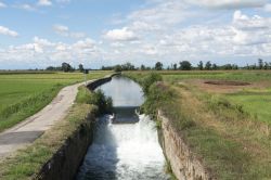 Il Paesaggio rurale della pianura lombarda nei dintorni di Abbiategrasso in Lombardia - © Claudio Giovanni Colombo / Shutterstock.com