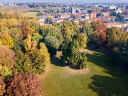 Panorama aereo di Limbiate (Lombardia) con foliage autunnale. Un terzo della superficie comunale fa parte del Parco delle Groane.
