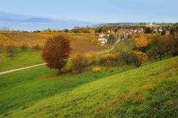  Panorama autunnale a Estavayer-le-Lac, Svizzera.
