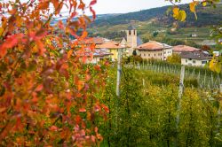 Panorama autunnale di Tassullo in Trentino, cittadina famosa per la produzione vinicola