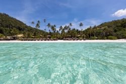 Panorama dell'acqua turchese a Palau Redang, Malesia. Sullo sfondo una spiaggia di sabbia bianchissima e la vegetazione rigogliosa che ricopre il territorio dell'isola.



