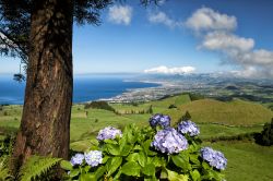 Panorama dell'isola di Sao Miguel, Azzorre, Portogallo: la più grande delle isole di questo arcipelago situato nel mezzo dell'Atlantico ospita vulcani, terme e piantagioni di ...