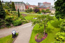 Panorama primaverile in un parco di Nottingham, Inghilterra. Questa località appollaiata sulle rive del fiume Leen ospita numerosi parchi naturali.
