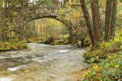 Parco Boca del Asno a Segovia, Spagna - Acque limpide e vegetazione rigogliosa per questa graziosa area naturale che sorge nei pressi di Segovia dove si può passeggiare alla scoperta ...