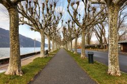 Passeggiata lungo il lago Bourget a Aix-les-Bains, Savoia, Francia. Il borgo di Aix-les-Bains, noto all'epoca romana con il nome di Aquae Gratianae, si affaccia sulla sponda orientale dello ...