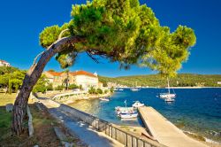 Passeggiata lungomare sull'isola di Vis, Croazia, Dalmazia. L'isola si estende per 90 km di vegetazione a piombo sul mare.

