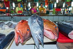 Pesce fresco in vendita al mercato centrale di Puerto Princesa, capitale dell'isola di Palawan, Filippine. Sullo sfondo, i venditori in attesa dei loro clienti © Michael Wels / Shutterstock.com ...