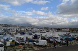 Porto turistico Tino Rossi, Ajaccio