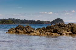 Roccia basaltica sull'isola di Coiba, Panama. Sullo sfondo la foresta tropicale di Isla Coiba ricoperta da vegetazione lussureggiante per oltre l'80% della superficie.



