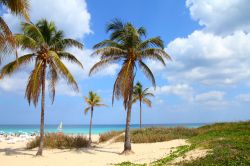 Sdraio e ombrelloni sulla spiaggia Megano nei pressi della città La Havana, Cuba.

