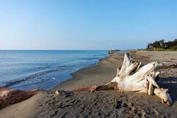 Il mare ad Aleria: le meraviglie della costa orientale della Corsica - Il tratto di costa tra Bastia e Porto Vecchio, nell'Alta Corsica, tocca anche la zona della Costa Serena e di Aleria ...