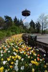 La grande pagoda adrenalinica del parco giochi di Efteling in Olanda, nel Brabante - © Schippers / Shutterstock.com