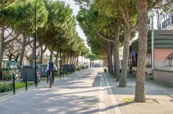 Viale alberato a Lido delle Nazioni, una delle spiagge più note della zona di Comacchio - © Luca Lorenzelli / Shutterstock.com 