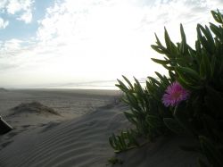 Spiaggia atlantica in Marocco: ci troviamo alla ...