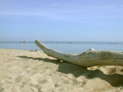 Spiaggia libera di Petacciato in Molise - © Antoniogreco~commonswiki, CC BY-SA 3.0, Wikipedia