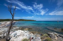 La natura arida di Spiaggia Lotu, Corsica - immersa nel Deserto delle Agriate, questa magnifica spiaggia è famosa in tutta la Corsica per il suo mare limpidissimo e per la natura selvaggia ...