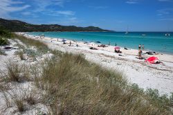 La natura di Spiaggia Saleccia, in una splendida ...