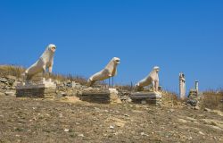 Statue di leoni nel sito archeologico di Delos, Grecia. Le antiche statue dei leoni e le colonne in marmo nel sito archeologico di Delos, vicino a Mykonos. Attualmente soltanto agli archeologici ...