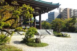 Un tempio scintoista e costruzioni moderne a Fukuoka, Giappone.

