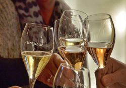 Degustazioni vino all'interno del Palazzo Roccabruna di Trento: i migliori vini bianchi e rossi del trentino vengono celebrati ogni anno con un importante evento