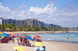 Turisti sulla spiaggia di Maceiò, Alagoas, Brasile. Il litorale della capitale con i suoi 40 chilometri di spiagge non delude le aspettative grazie ai meravigliosi paesaggi che offre.

 ...