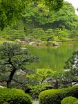 Un giardino giapponese nel parco Ohori di Fukuoka.
