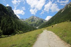 Un sentiero sulle Alpi nei pressi di Imst, Tirolo (Austria). Qui le opportunità per fare escursioni a piedi o in mountain bike sono davvero numerose.
