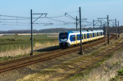 Un treno olandese attraversa le campagne della provincia di Flevoland, Paesi Bassi - © Andrew Balcombe / Shutterstock.com