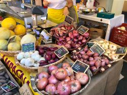 Una bottega alimentare nel centro di Traversetolo in Emilia - © Kate Krav-Rude / Shutterstock.com