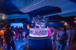 Una sala dell'acquario di Veracruz, Messico, con visitatori (Messico) - © Aberu.Go / Shutterstock.com