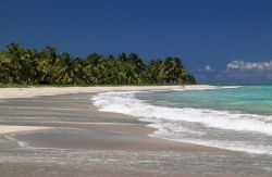 Una spiaggia deserta tropicale nei pressi della capitale Maceiò, stato di Alagoas, Brasile. Sullo sfondo, la ricca vegetazione formata da palme.


