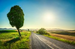 Una strada del comune di Santa Luce in Toscana