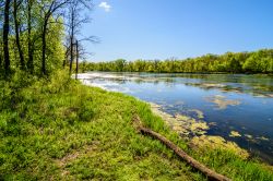 Un'immagine della città di Waterloo in primavera, Iowa. Questa cittadina, la sesta per grandezza nello stato dell'Iowa, costituisce un unico agglomerato urbano con Cedar Falls, ...