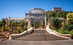 Uno scorcio dell'Adelaide Botanic Garden, Australia: una serra in vetro in stile vittoriano - © Keitma / Shutterstock.com