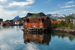 Vecchio magazzino sul porto a Svalvoer, Lofoten, Norvegia.

