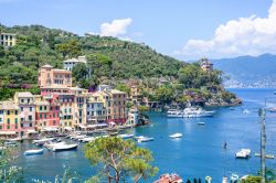 Veduta aerea di Portofino nel Golfo del Tigullio, Genova, Liguria.

