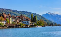 Veduta panoramica di Zugo da un'imbarcazione sul lago, Svizzera. Sullo sfondo, il monte Rigi - © Denis Linine / Shutterstock.com