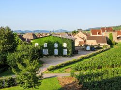 Vista spettacolare del borgo di Meursault in Francia, famosa per i suoi vini. Siamo in Borgogna - © RICIfoto / Shutterstock.com