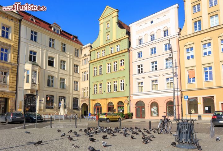 Immagine Salt Square a Wroclaw, Polonia - La piazza adiacente il Rynek di Breslavia è conosciuta come plac Solny ed è celebre in quanto un tempo veniva utilizzata per il commercio del sale, che serviva per la conservazione degli alimenti. Attualmente in questa bella piazza si commerciano fiori, 24 ore su 24 © Stepniak / Shutterstock.com