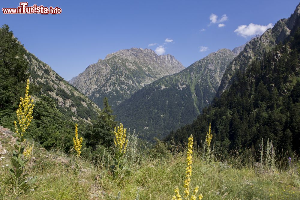 Immagine Valle Gesso non lontano da Entracque in Piemonte.